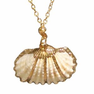 Pretty Gold Accent Shell Pendant Necklace NEW